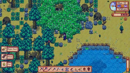 StardewValley Playing 6