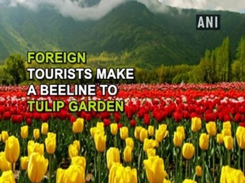 Srinagar: Foreign tourists make a beeline to Tulip Garden