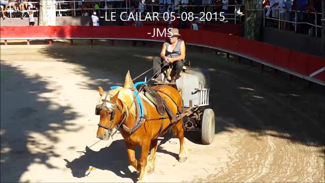 LE CAILAR-Abrivado-Bandido-Course Camarguaise-fete votive-05-08-2015