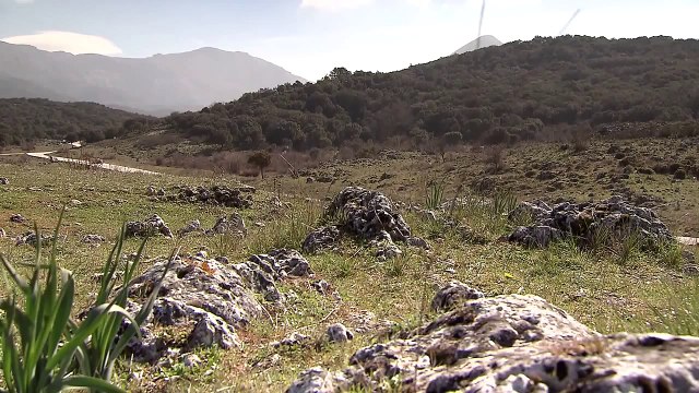 McLaren 650s Coupe - Street Drive