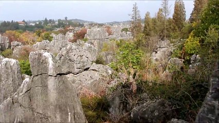 The Stone Forest: Yunnan, China