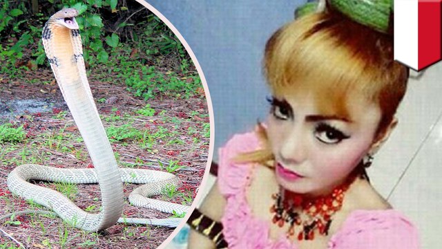 On-stage prop cobra fatally bites Indonesian singer during performance