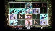 BIRDS OF WONDER Penny Video Slot Machine with BONUS RETRIGGERED 4 TIMES Las Vegas Strip Ca