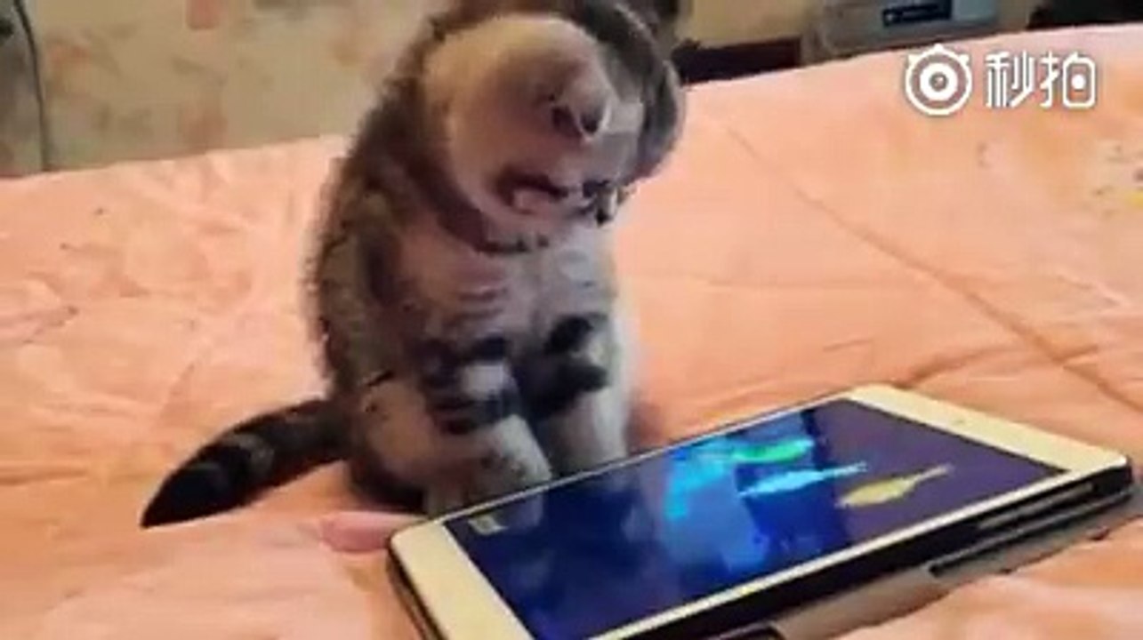 Just for fun