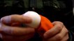 How to Make Scramboiled Eggs...Yes, Scrambled Hard Boiled Eggs. [Video]