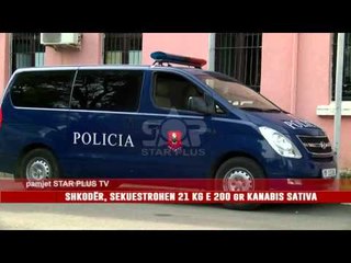 SHKODËR, SEKUESTROHEN 21 KG E 200 gr KANABIS SATIVA