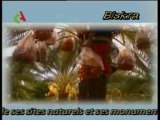 Biskra algérie sahara