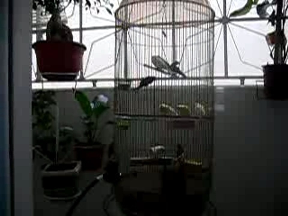 P1080540