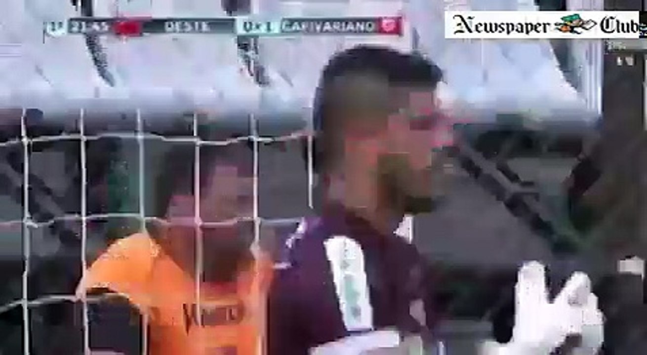 Dog crashes soccer game and scores the goal to our hearts