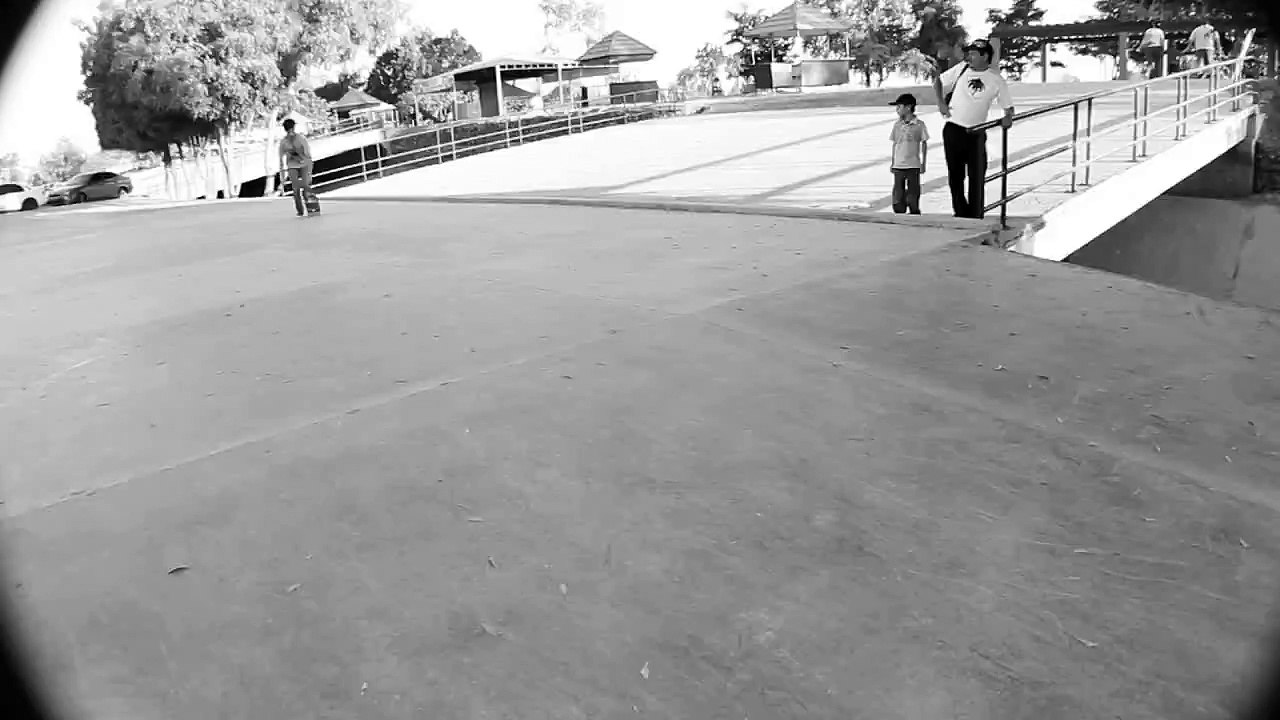 Luis Manriquez - Linea