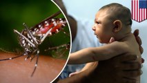 More evidence shows Zika virus could be linked to infections brain, spinal cord infections