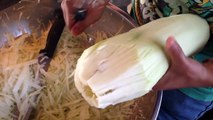 Thai Girl Cutting Green Papaya for Som Tam ส้มตำ