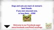 TOP Funny Cat and Dog Dancing and Singing in the World- Mkls
