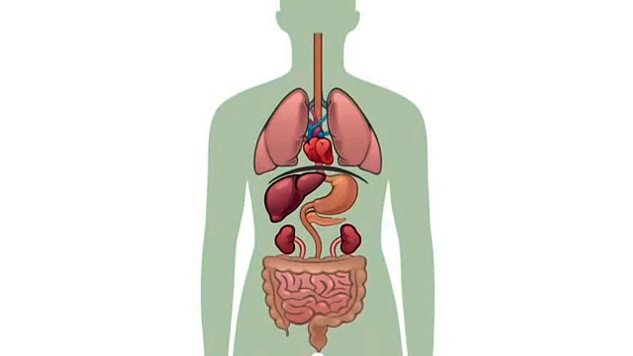 in islam fasting What happens to your body