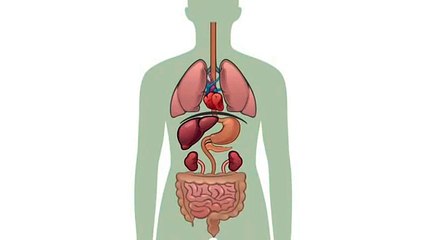 in islam fasting What happens to your body