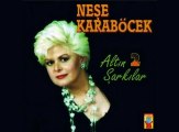 Neşe Karaböcek - Deli Gibi Sevdim [Neden Saçların] (Altın Şarkılar 2 / 1993)