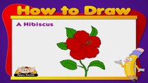 Learn to Draw Flower in Hindi - Hibiscus