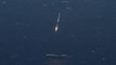 SpaceX réussit à faire atterrir sa fusée Falcon9 en mer