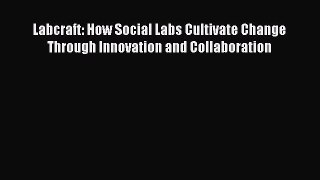 [Read book] Labcraft: How Social Labs Cultivate Change Through Innovation and Collaboration