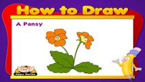 Learn to Draw Flower in Hindi - Pansy