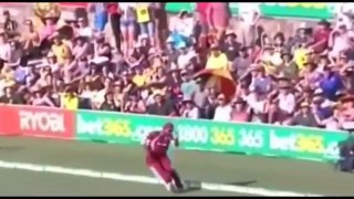 Top 10 catches ever in cricket history 2016 must watch