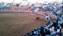 Toros y Fiestas Mojados (Valladolid) 2013