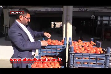 Doğu Perinçek: Ekmeğimizle ve güvenliğimizle buluşan Rusya dostluğu