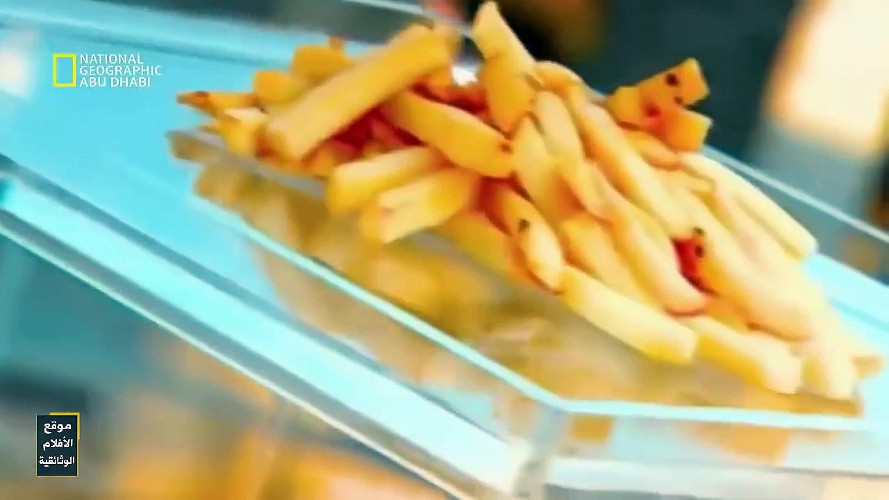 #وثائقي كيف صنعت البطاطس مدبلج [جودة عالية HD]