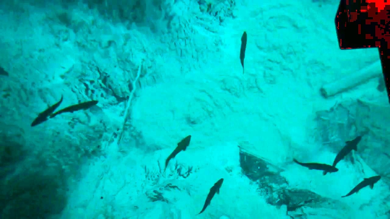 At Kitch-iti-kipi Springs in the Upper Peninsula of Michigan