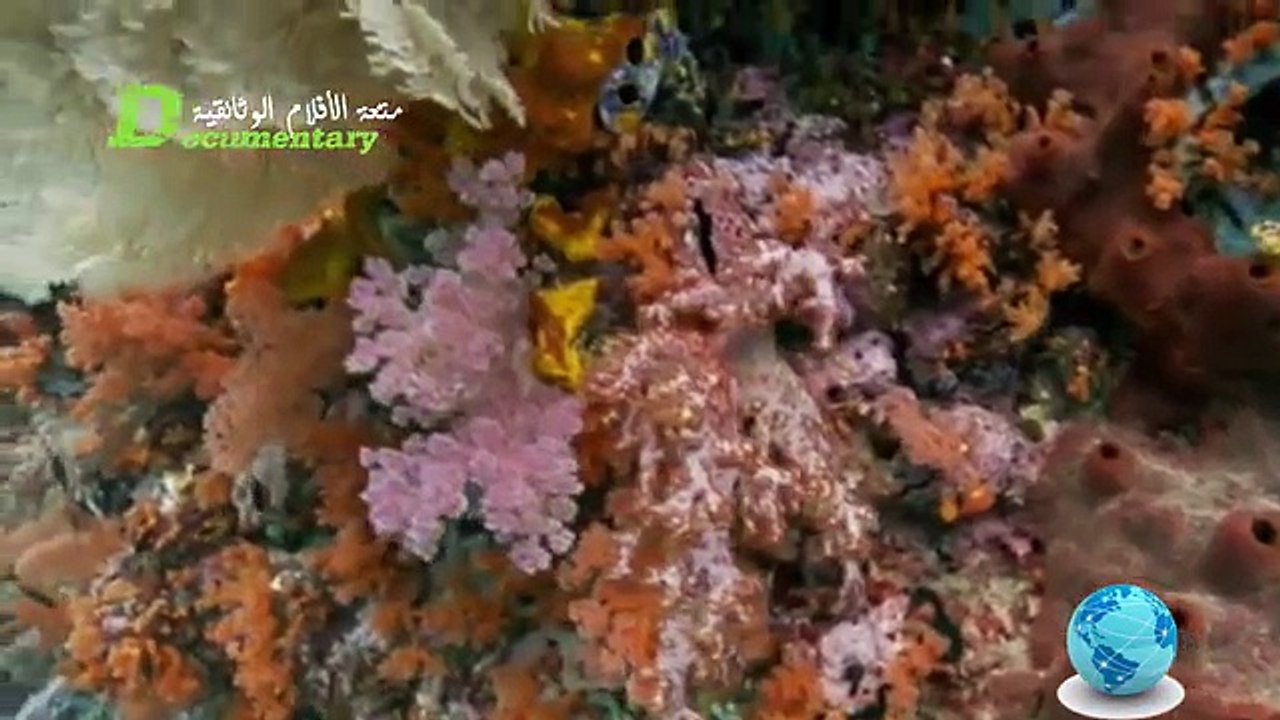 وثائقي | عقد الإكتشافات الذهبي