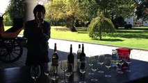 White Wine Tasting Tips - Undurraga Winery, Chile 2013
