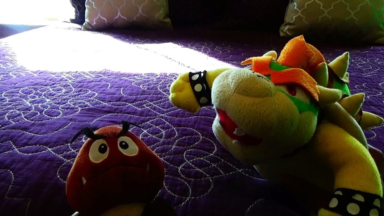 Black Yoshi The Teacher