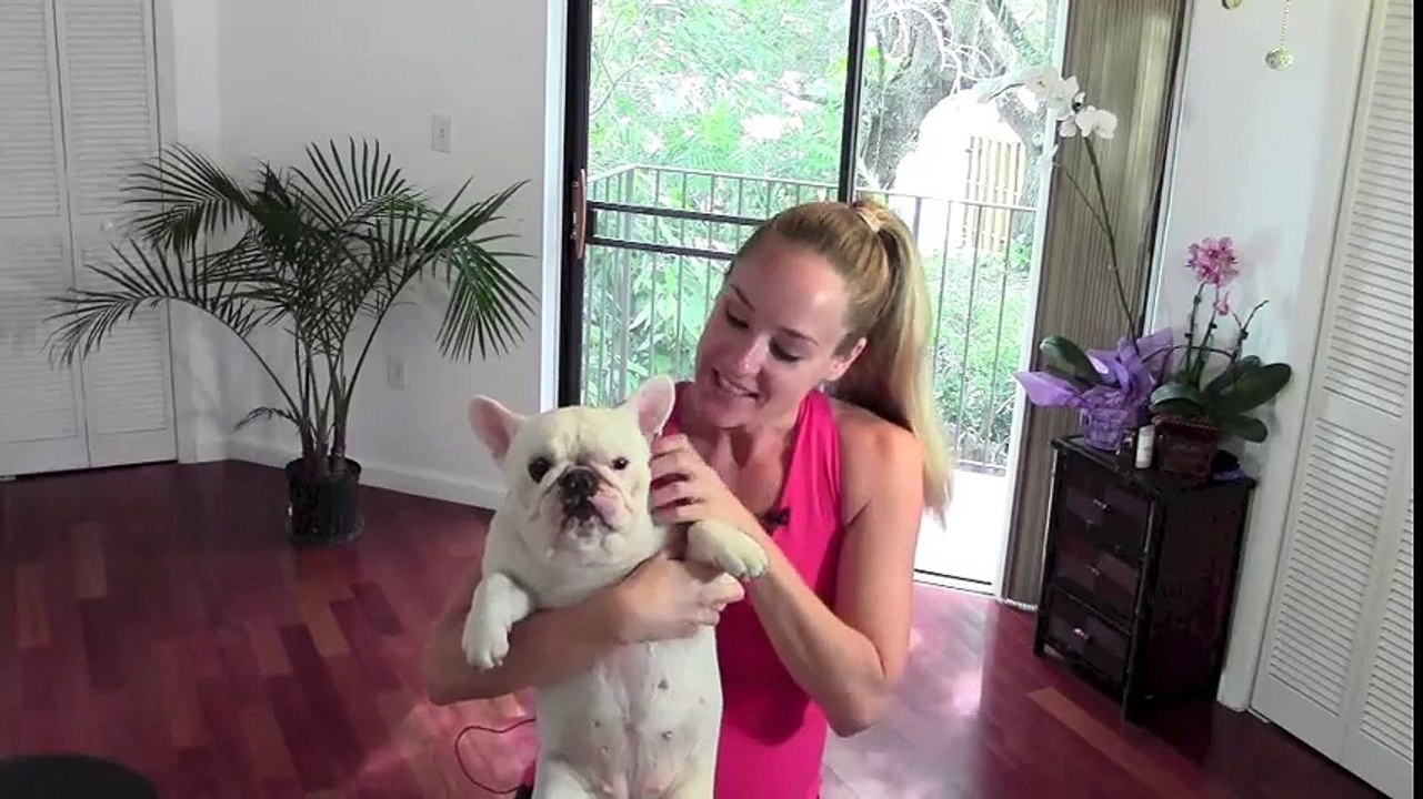 Exercise Online, Free Online Workouts   Free Online Fitness Classes_ Welcome to JESSICASMITHTV!