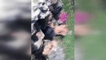 Silah ve El Yapımı Patlayıcı Ele Geçirildi