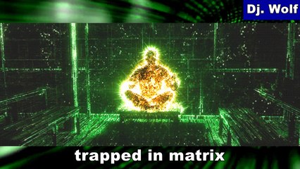 Dj. Wolf: trapped in matrix