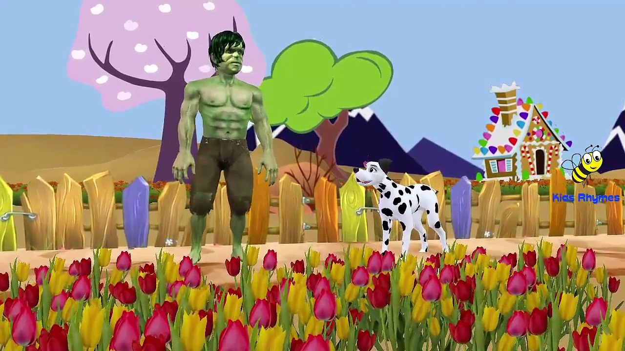 Spiderman 3D Animation Cartoon Nursery Rhymes | Bingo The Dog Song | Biggest Collection