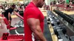 JAY CUTLER - CHEST AND TRICEPS WORKOUT 11 DAYS OUT UPDATE 2013 MR OLYMPIA