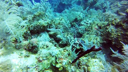 vacance plongée montage