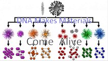 #DNA Makes Materials Come to #Life