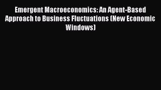 [Read book] Emergent Macroeconomics: An Agent-Based Approach to Business Fluctuations (New