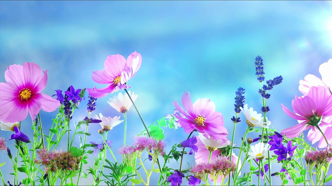 Romantic Piano Relaxing Music. Uplifting Energy. Background for Stress Relief,Meditation,S