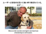 Het verhaal van de blinde geleide hond Atom uit Japan.