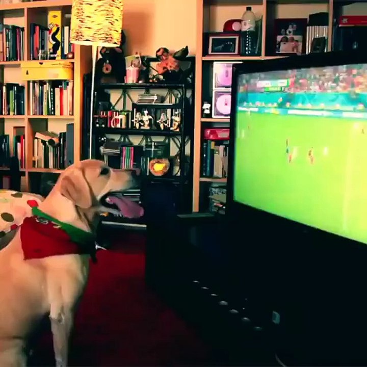 Gole hunharca sevinen sevimli dost