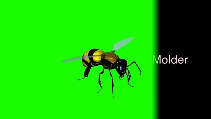 ATTACK Corsogroep de Witte Brug