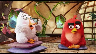 Angry Birds - Nice Chatting With You | official FIRST LOOK clip (2016)