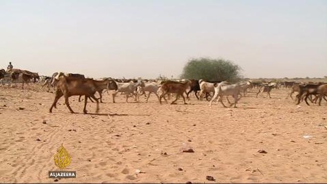 Darfur farmers learn new techniques to adapt to drought
