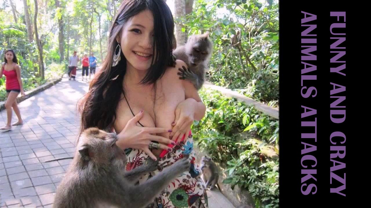 When Aggressive Animal Freaky Attacks on People