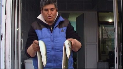 ENEZ YILAN BALIĞI HER DERDE DEVA.....