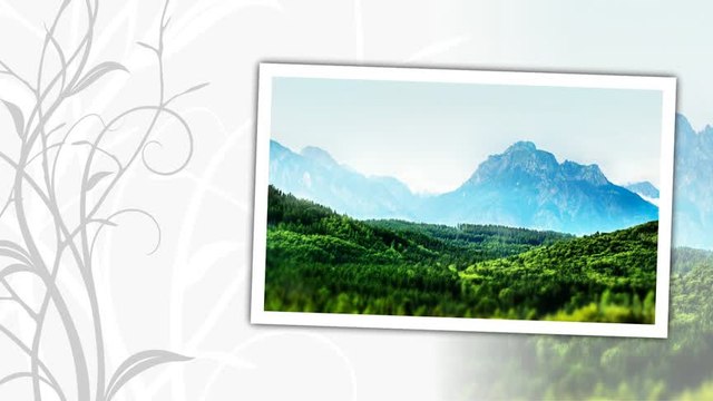 Dragan Tomasevic - Caj goro, carna!