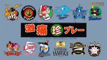Funny Baseball Moments - Shit Happens in Japanese Baseball